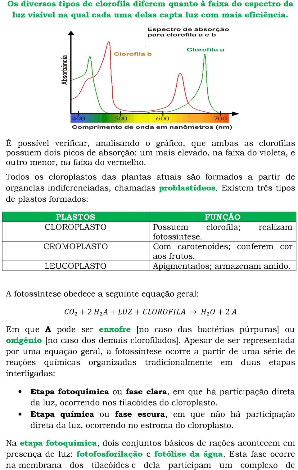 Todos os cloroplastos das plantas atuais são formados a partir de organelas indiferenciadas, chamadas problastídeos.