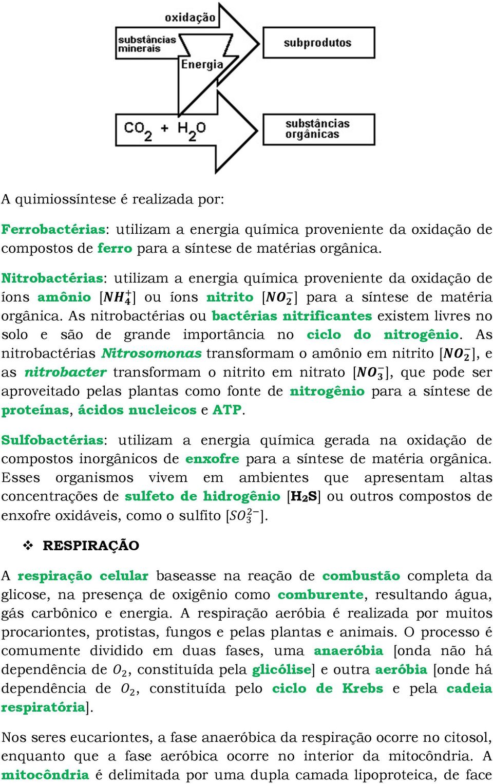 As nitrobactérias ou bactérias nitrificantes existem livres no solo e são de grande importância no ciclo do nitrogênio.