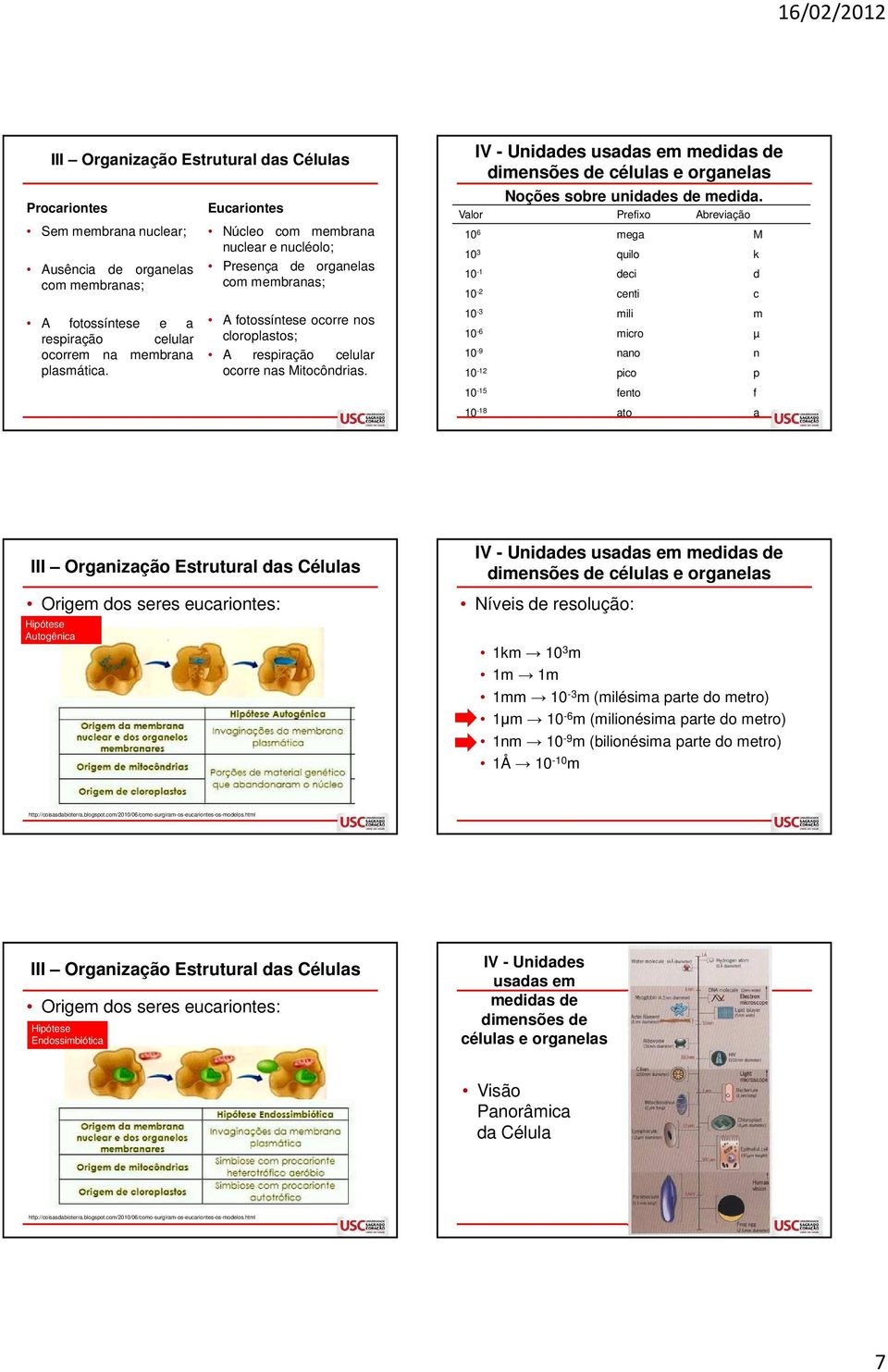 IV - Unidades usadas em medidas de dimensões de células e organelas Noções sobre unidades de medida.