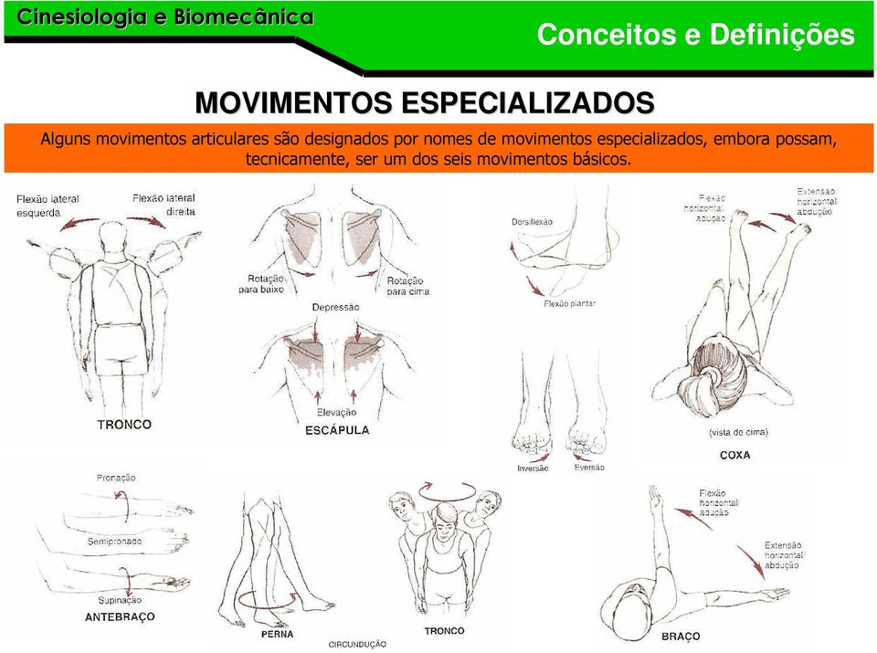 nomes de movimentos especializados, embora