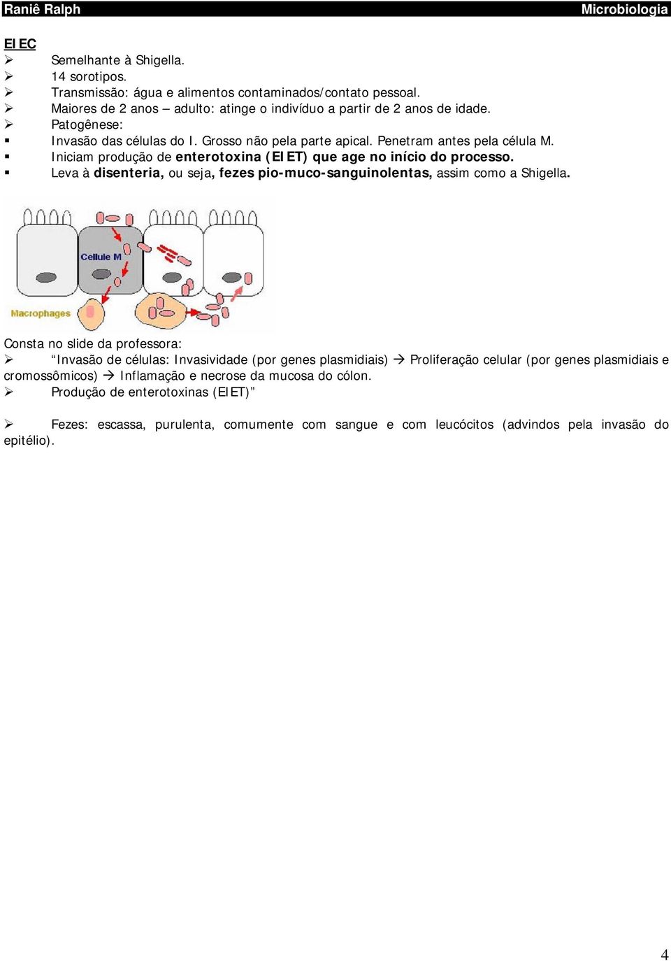 Leva à disenteria, ou seja, fezes pio-muco-sanguinolentas, assim como a Shigella.