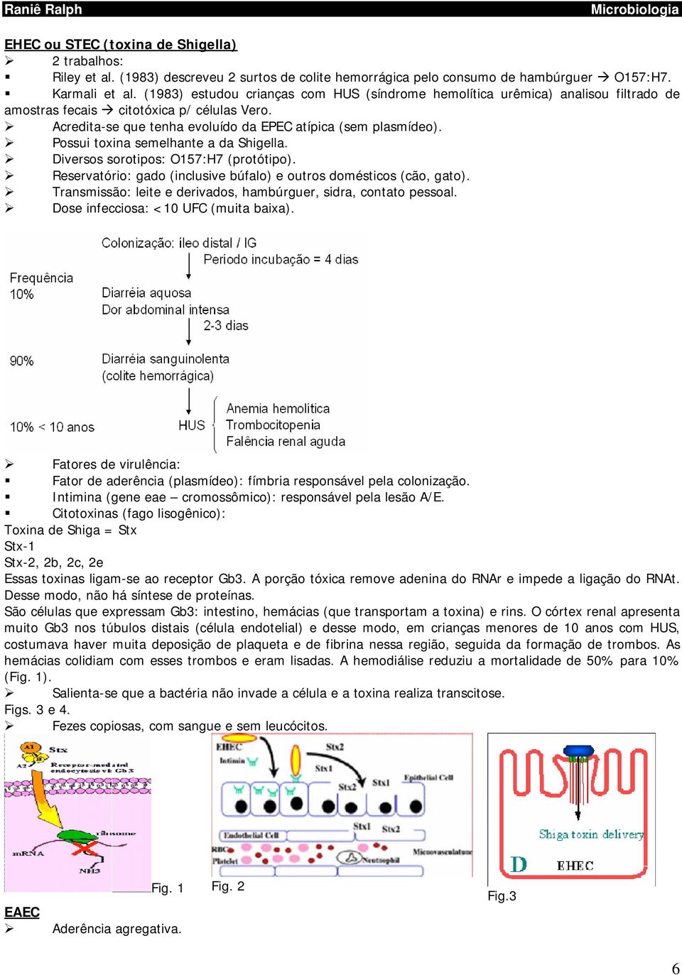 Possui toxina semelhante a da Shigella. Diversos sorotipos: O157:H7 (protótipo). Reservatório: gado (inclusive búfalo) e outros domésticos (cão, gato).