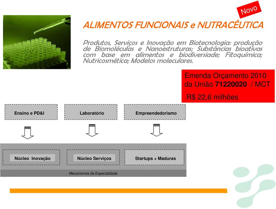 Nutricosmética; Modelos moleculares.