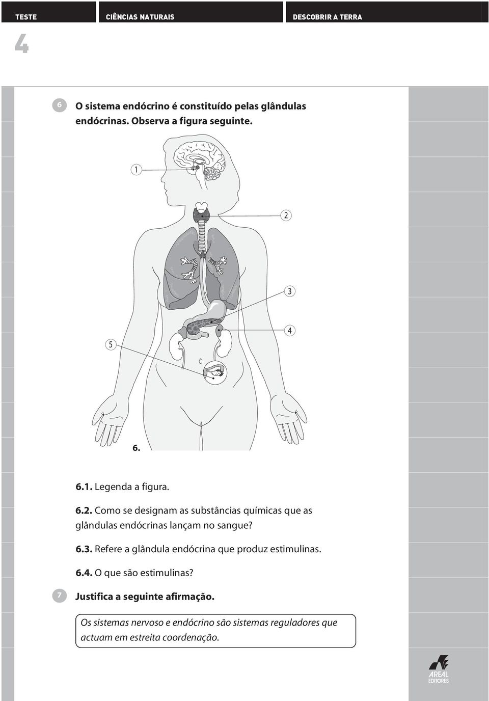 .. Como se designam as substâncias químicas que as glândulas endócrinas lançam no sangue?