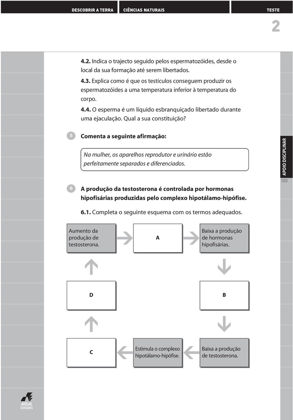 Qual a sua constituição? Comenta a seguinte afirmação: Na mulher, os aparelhos reprodutor e urinário estão perfeitamente separados e diferenciados.