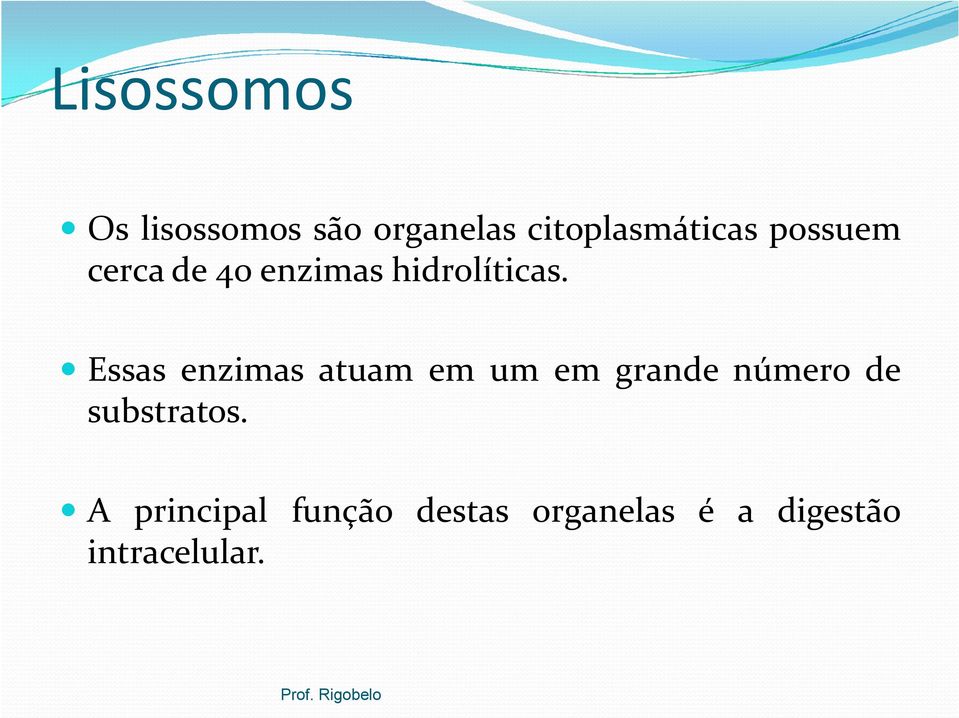 Essas enzimas atuam em um em grande número de