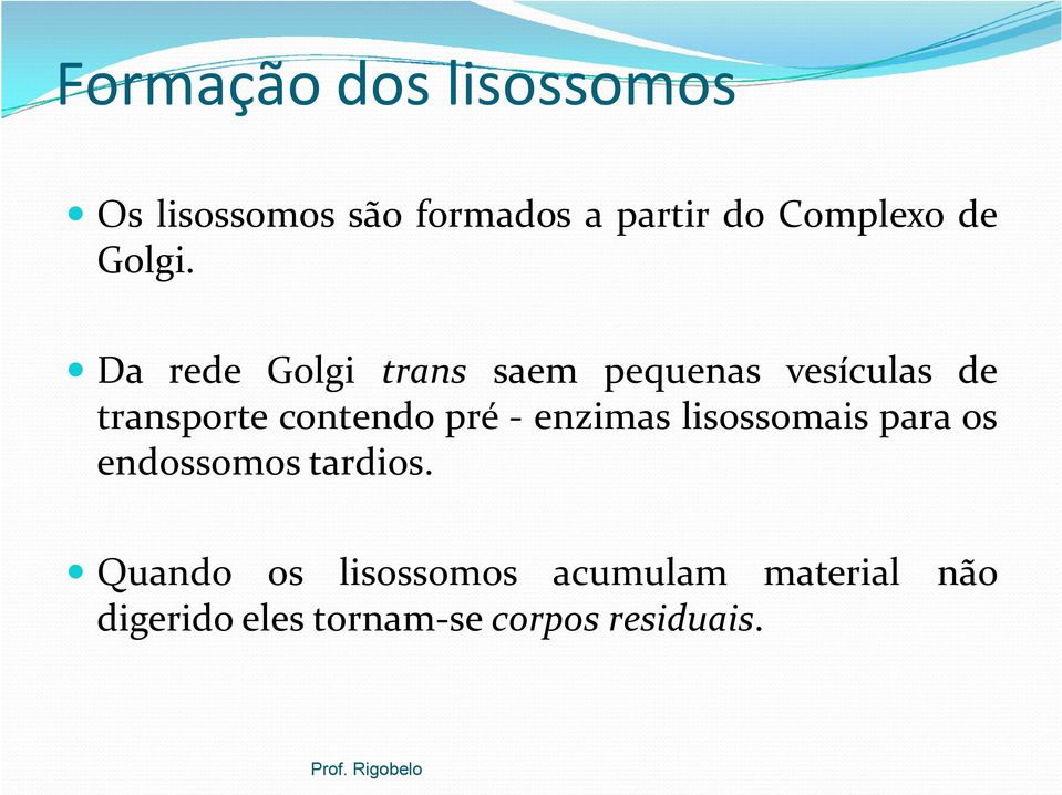 Da rede Golgi trans saem pequenas vesículas de transporte contendo pré