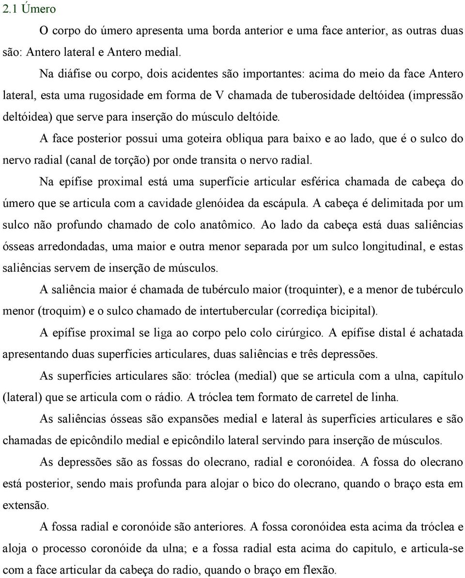 inserção do músculo deltóide. A face posterior possui uma goteira obliqua para baixo e ao lado, que é o sulco do nervo radial (canal de torção) por onde transita o nervo radial.