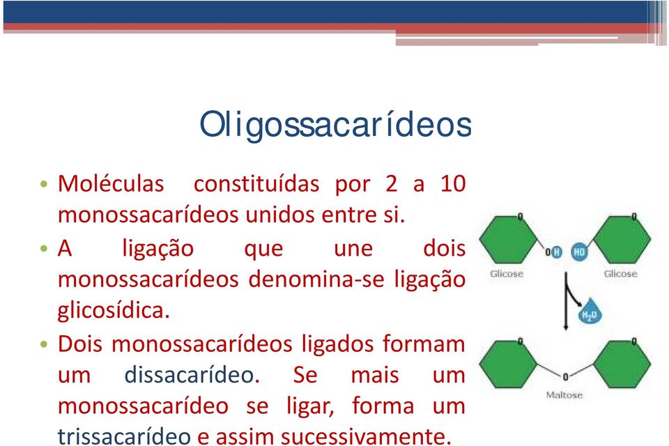 A ligação que une dois monossacarídeos denomina se ligação glicosídica.