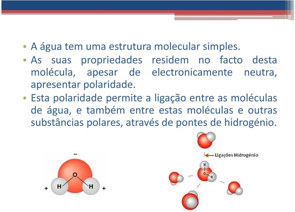 electronicamente neutra, apresentar polaridade.