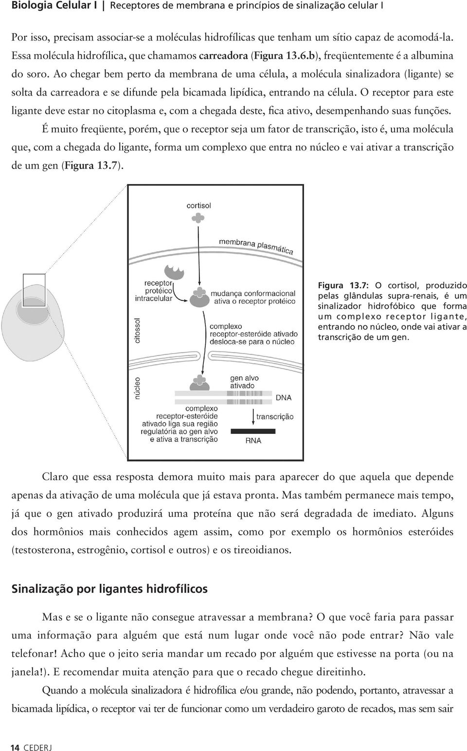 Ao chegar bem perto da membrana de uma célula, a molécula sinalizadora (ligante) se solta da carreadora e se difunde pela bicamada lipídica, entrando na célula.