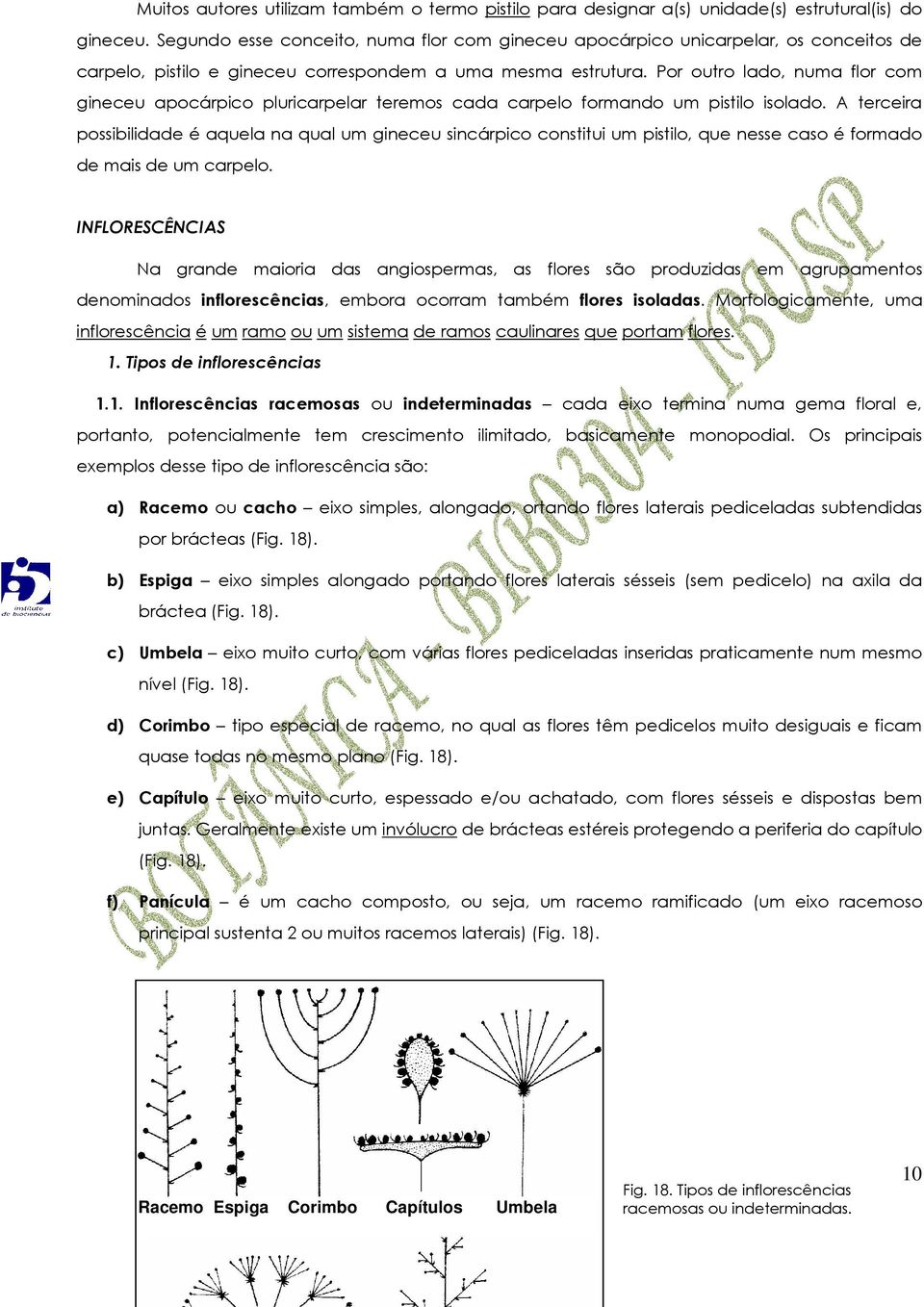 Por outro lado, numa flor com gineceu apocárpico pluricarpelar teremos cada carpelo formando um pistilo isolado.