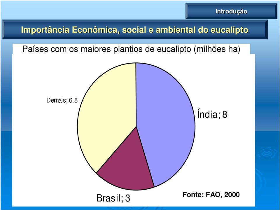 maiores plantios de eucalipto (milhões ha)