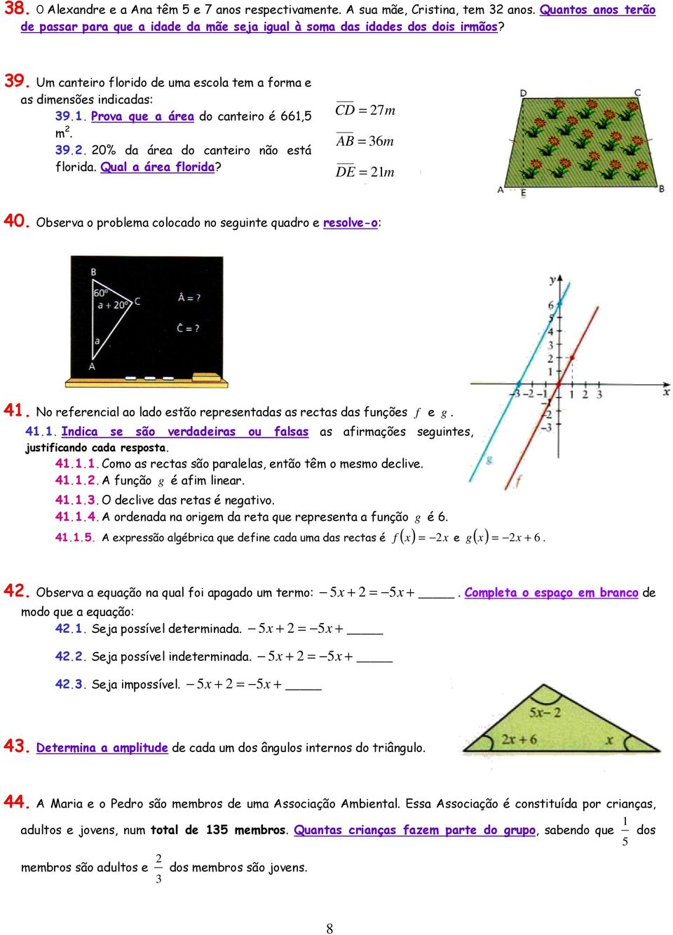 CD = 7m AB = 6m DE = m 0. Observa o problema colocado no seguinte quadro e resolve-o:. No referencial ao lado estão representadas as rectas das funções f e g.