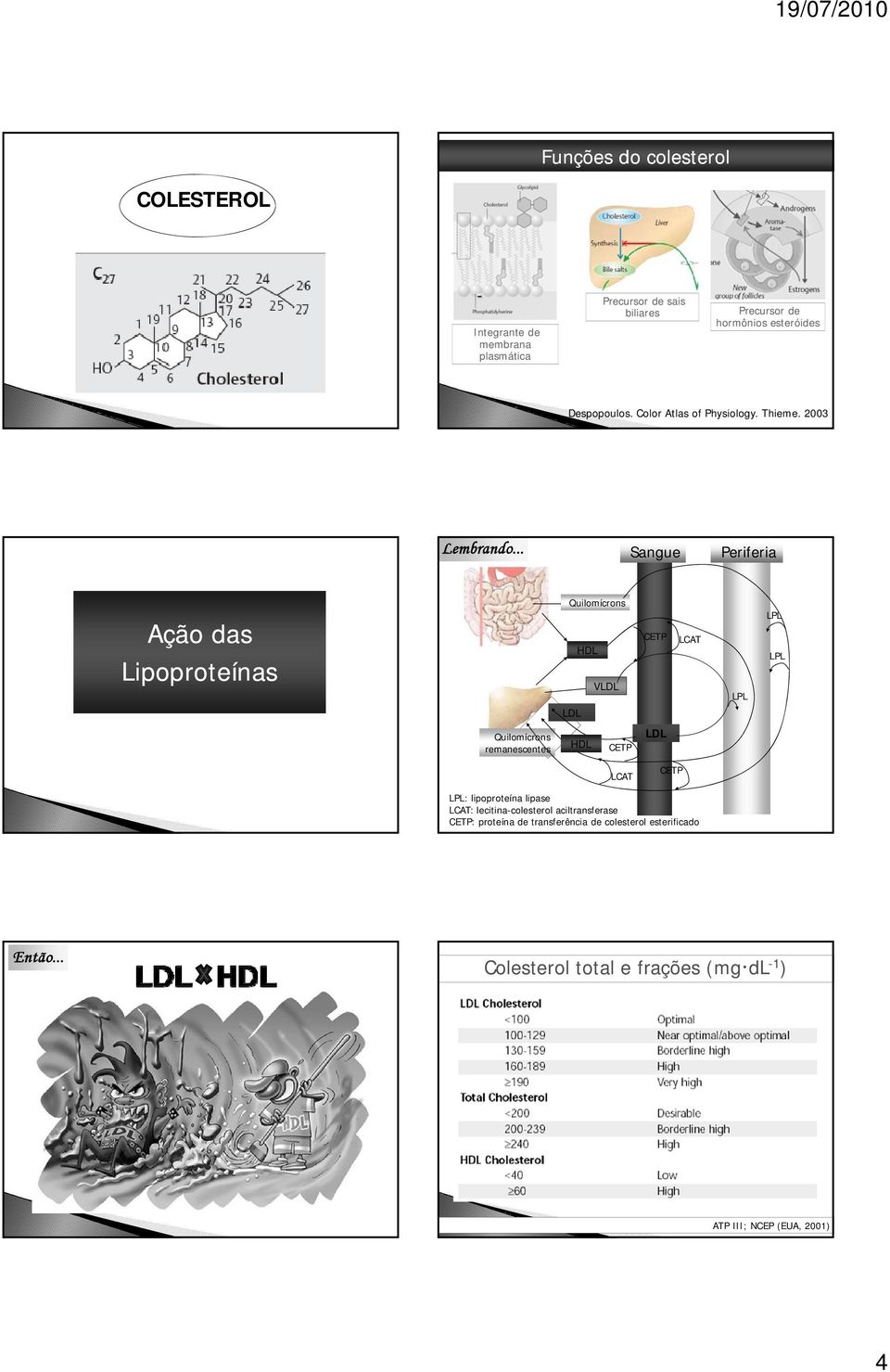 .. Sangue Periferia Ação das Lipoproteínas p Quilomícrons HDL VLDL CETP LCAT LPL LPL LPL LDL Quilomícrons remanescentes HDL CETP LDL