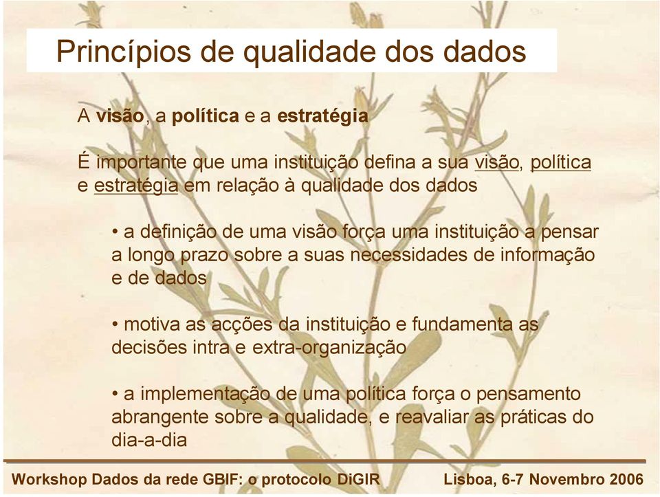 sobre a suas necessidades de informação e de dados motiva as acções da instituição e fundamenta as decisões intra e