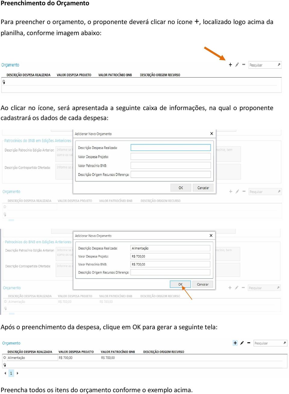 informações, na qual o proponente cadastrará os dados de cada despesa: Após o preenchimento da despesa,