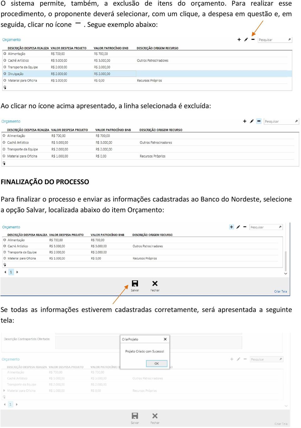 Segue exemplo abaixo: Ao clicar no ícone acima apresentado, a linha selecionada é excluída: FINALIZAÇÃO DO PROCESSO Para finalizar o