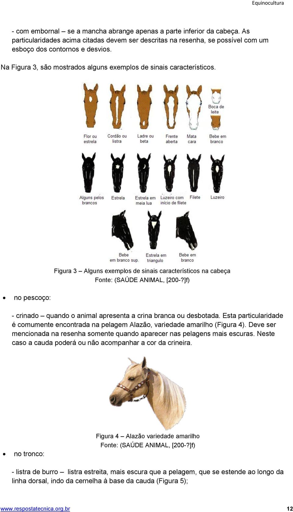 ]f) - crinado quando o animal apresenta a crina branca ou desbotada. Esta particularidade é comumente encontrada na pelagem Alazão, variedade amarilho (Figura 4).