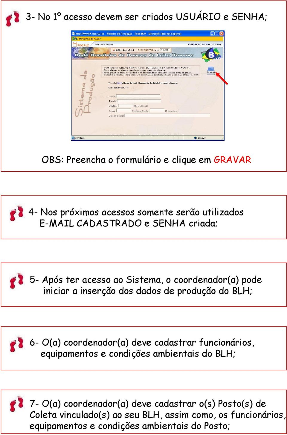 produção do BLH; 6- O(a) coordenador(a) deve cadastrar funcionários, equipamentos e condições ambientais do BLH; 7- O(a)