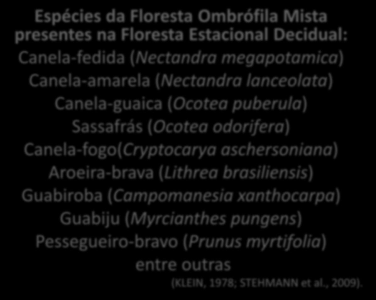 Espécies da Floresta Ombrófila Mista presentes na Floresta Estacional Decidual: Canela-fedida (Nectandra megapotamica) Canela-amarela (Nectandra lanceolata) Canela-guaica (Ocotea puberula) Sassafrás
