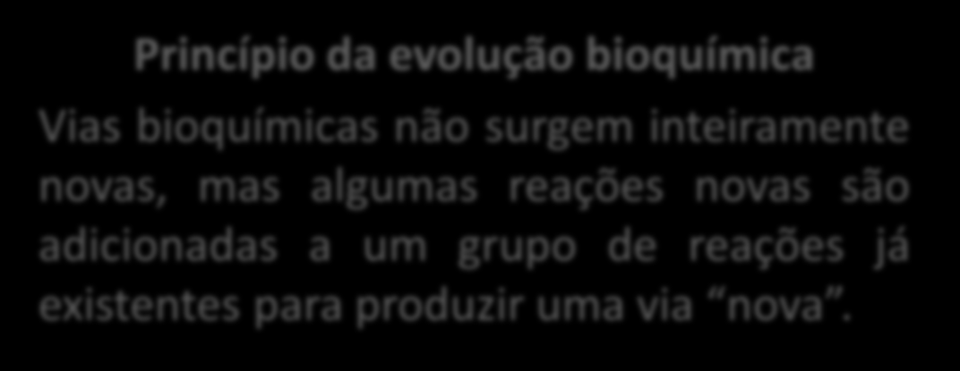 Também ocorrem durante o Ciclo de Calvin (Fotossíntese) Princípio da evolução bioquímica Vias bioquímicas não surgem