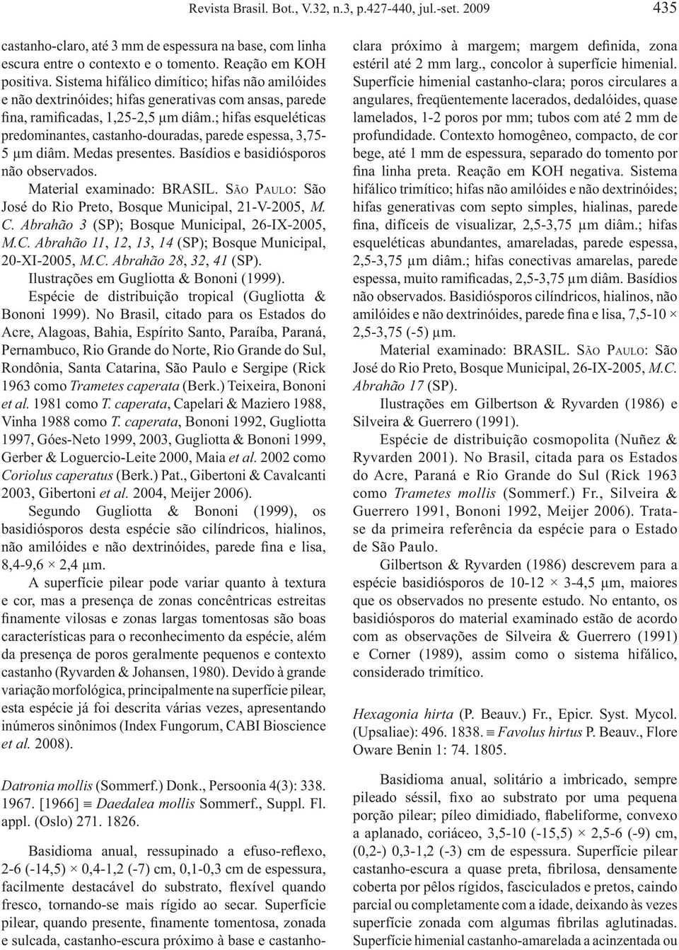 ; hifas esqueléticas predominantes, castanho-douradas, parede espessa, 3,75-5 μm diâm. Medas presentes. Basídios e basidiósporos não observados. José do Rio Preto, Bosque Municipal, 21-V-2005, M. C.