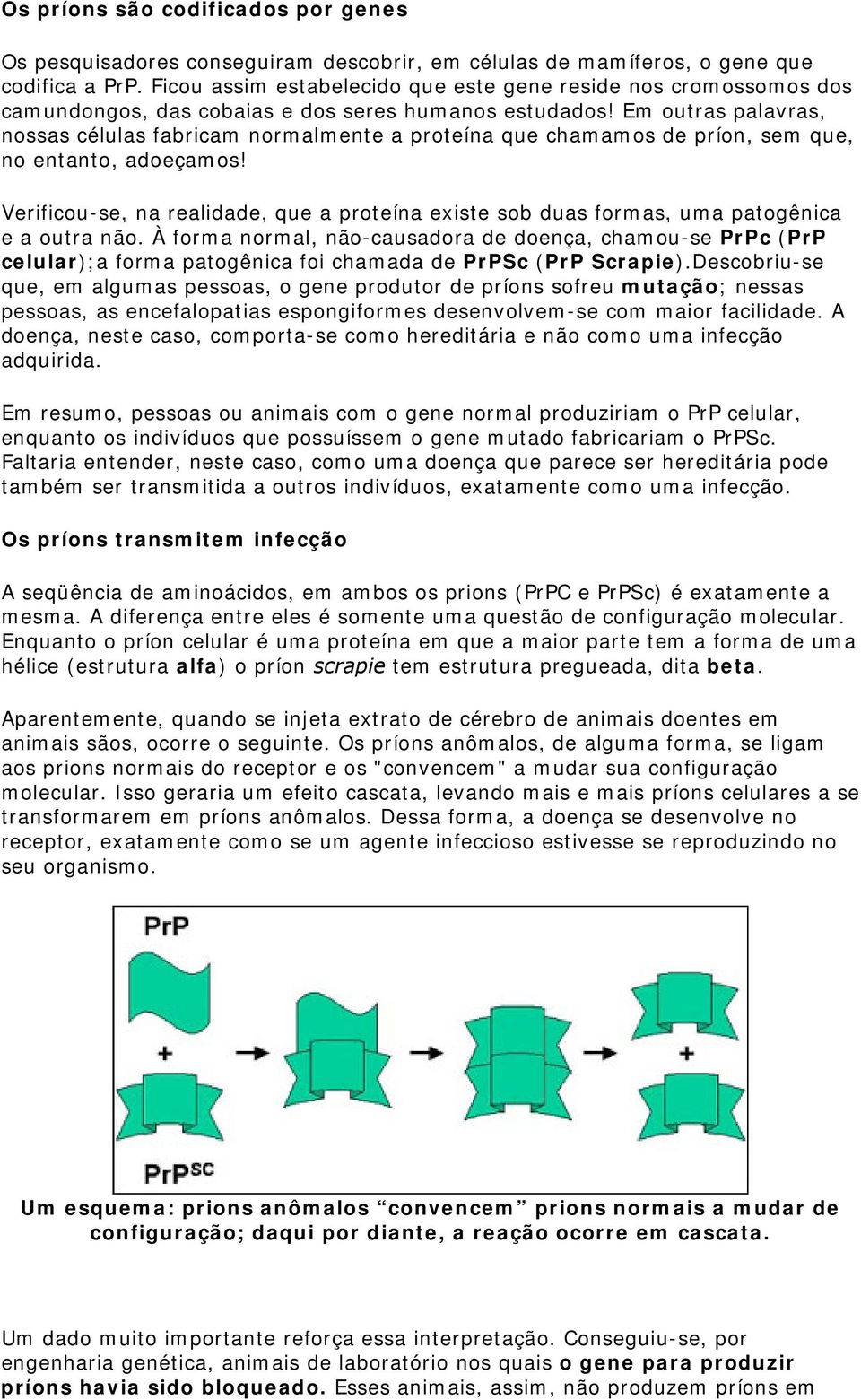 Em outras palavras, nossas células fabricam normalmente a proteína que chamamos de príon, sem que, no entanto, adoeçamos!