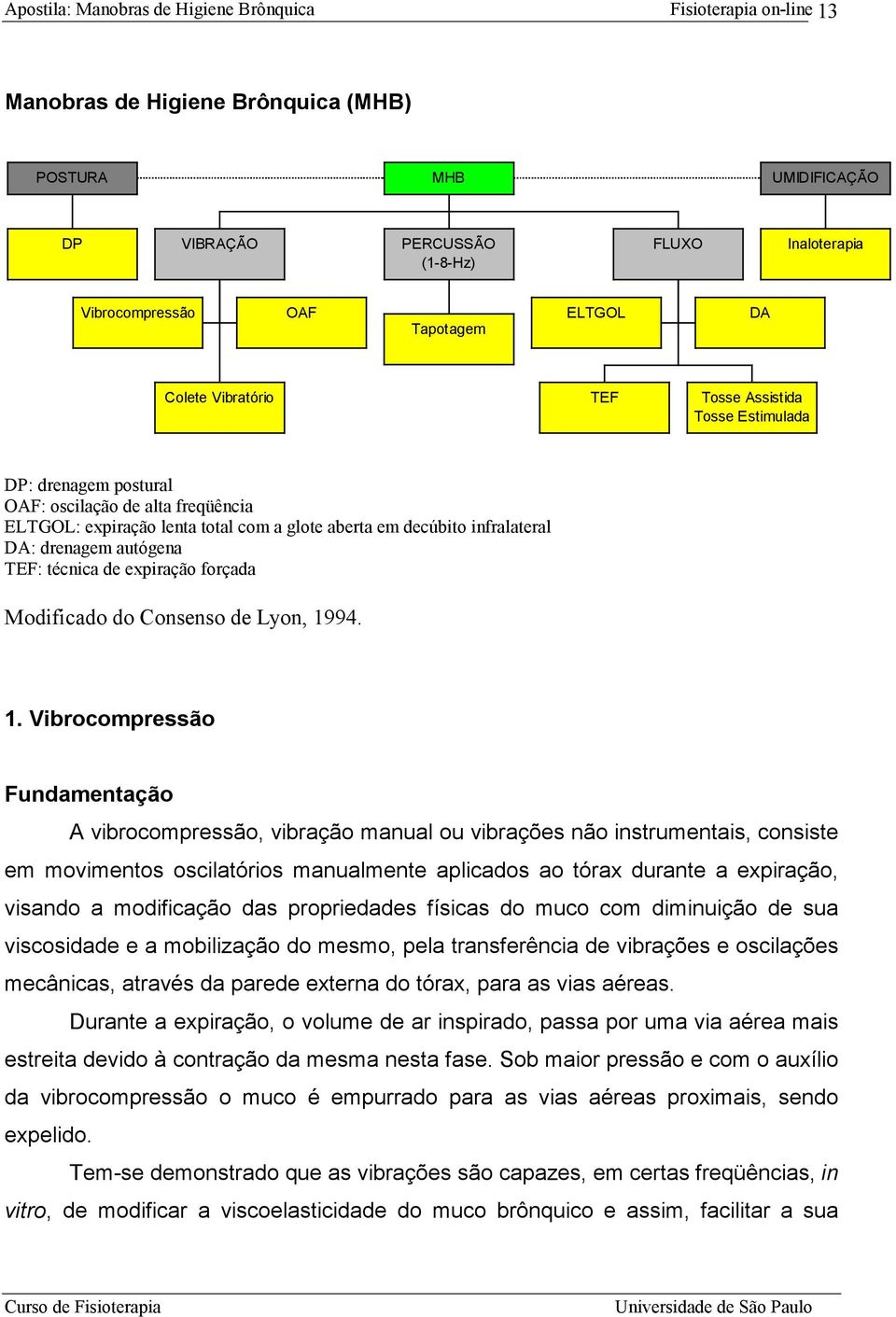 Modificado do Consenso de Lyon, 19