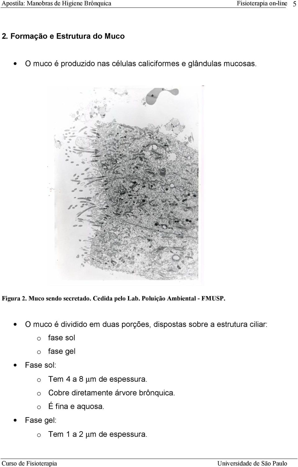 O muco é dividido em duas porções, dispostas sobre a estrutura ciliar: o fase sol o fase gel Fase