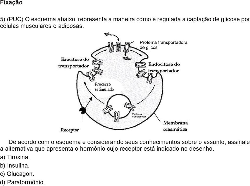 De acordo com o esquema e considerando seus conhecimentos sobre o assunto, assinale a