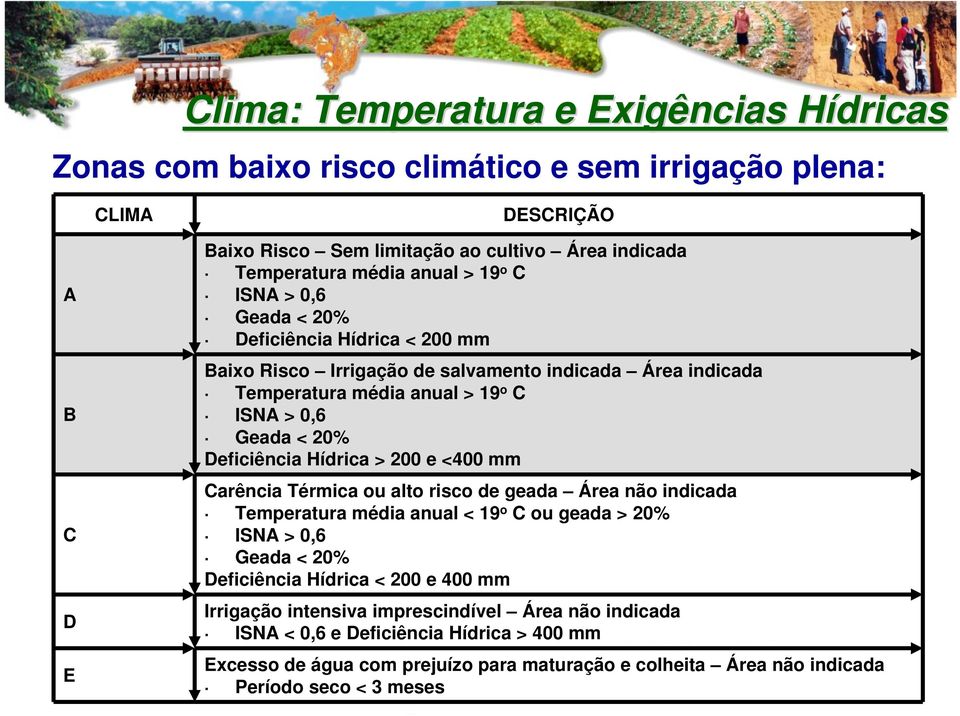 Deficiência Hídrica > 200 e <400 mm Carência Térmica ou alto risco de geada Área não indicada Temperatura média anual < 19 o C ou geada > 20% ISNA > 0,6 Geada < 20% Deficiência Hídrica < 200