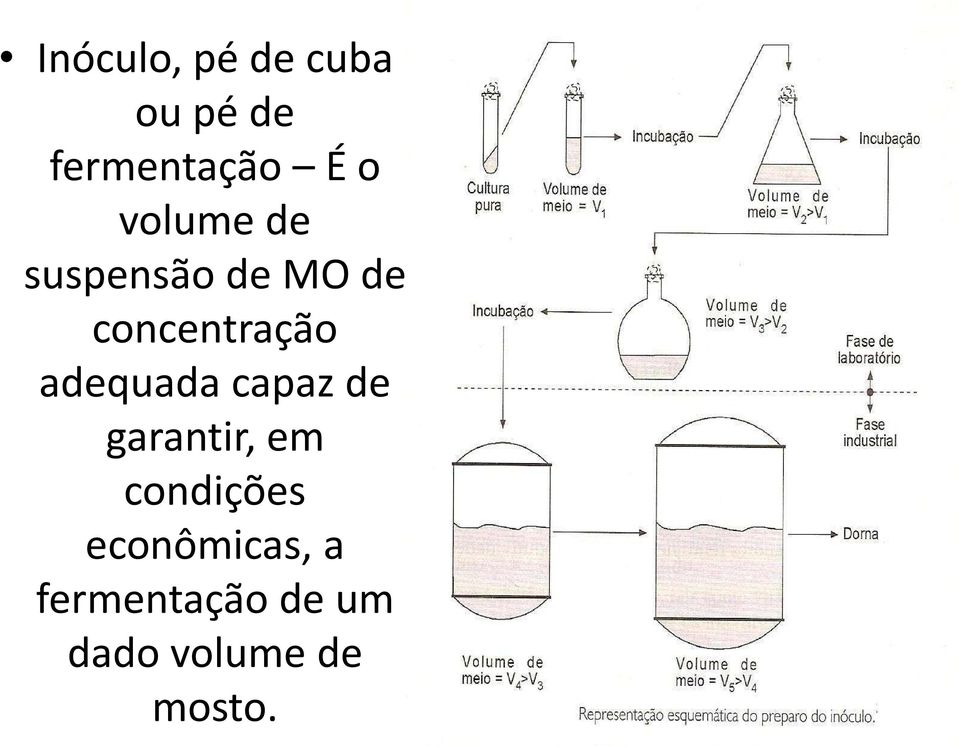 adequada capaz de garantir, em condições