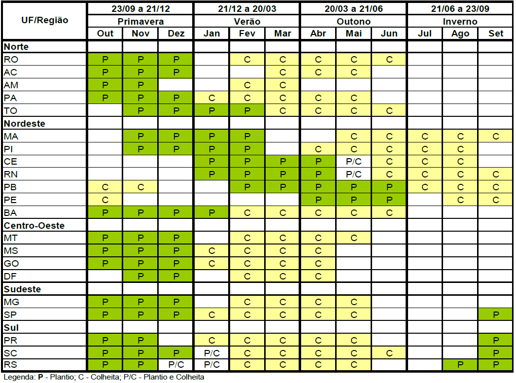 MILHO 1ª SAFRA: