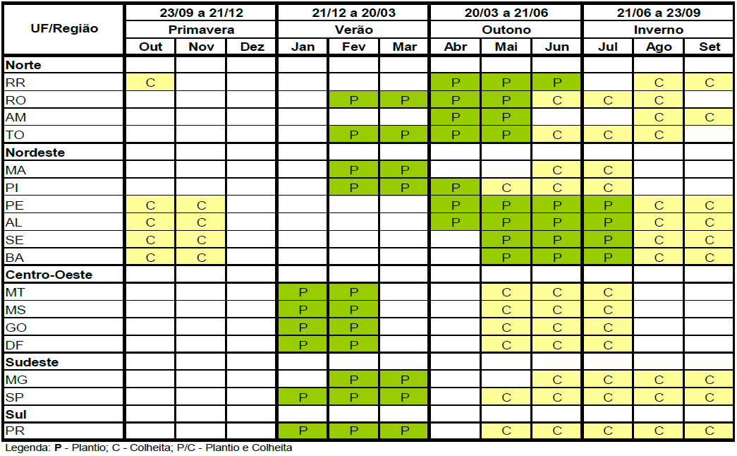 MILHO 2ª SAFRA: