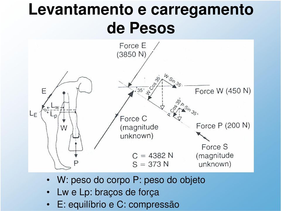 do objeto Lw e Lp: braços de