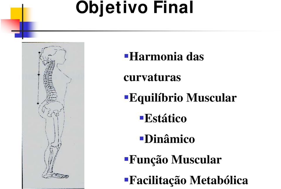 Muscular Estático Dinâmico