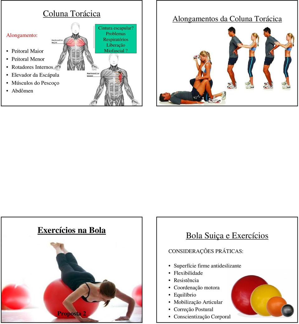 Alongamentos da Coluna Torácica Exercícios na Bola Bola Suiça e Exercícios CONSIDERAÇÔES PRÁTICAS: Proposta 2