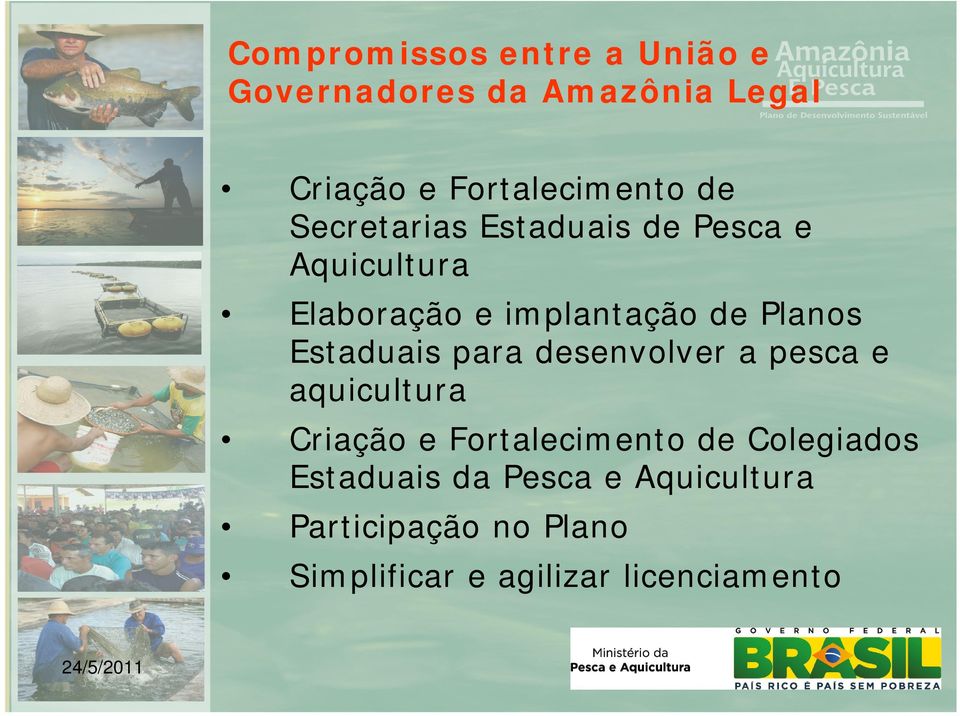 para desenvolver a pesca e aquicultura Criação e Fortalecimento de Colegiados Estaduais