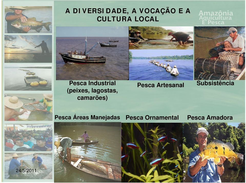 Pesca Artesanal Subsistência Pesca Áreas