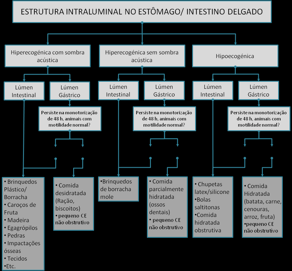 Nesse sentido, elaborou-se um diagrama que visa ajudar o sonografista a, não só diferenciar alimentos de CE no estômago e/ou intestino delgado (Fig.