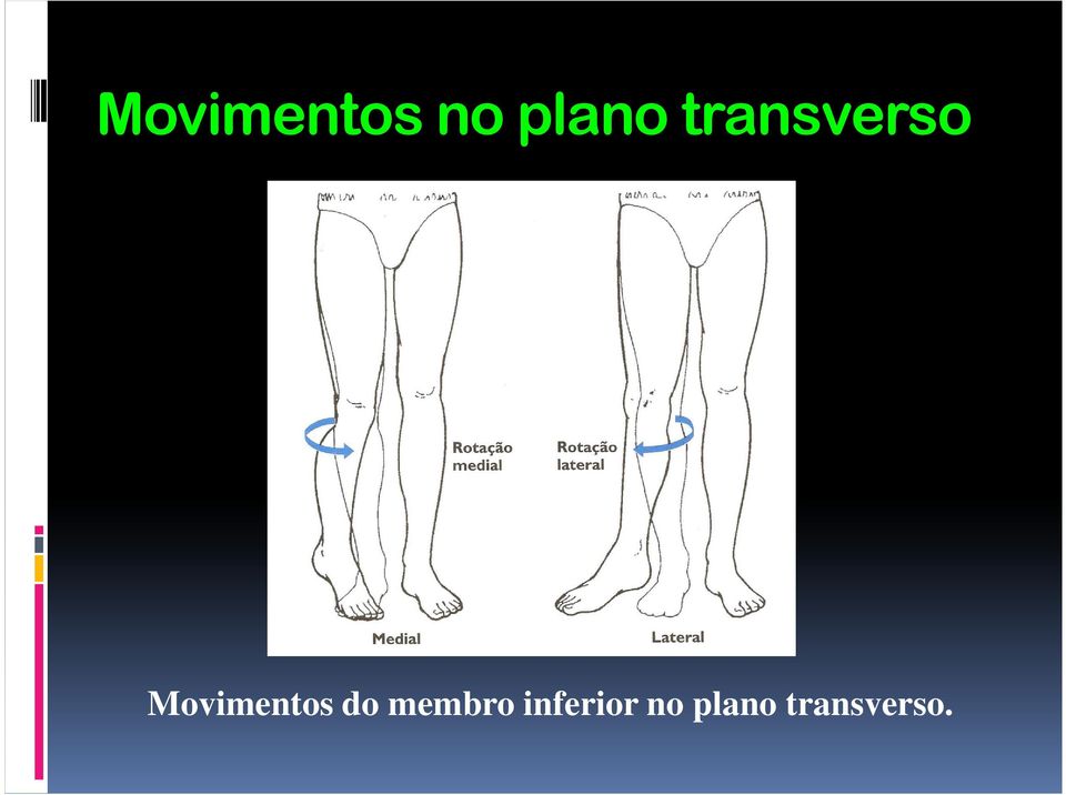 Movimentos do membro