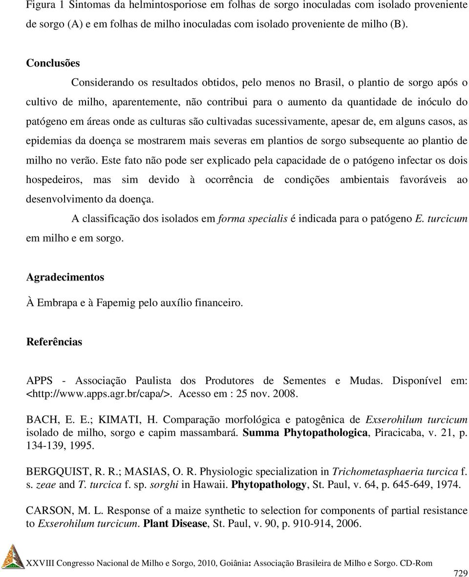 áreas onde as culturas são cultivadas sucessivamente, apesar de, em alguns casos, as epidemias da doença se mostrarem mais severas em plantios de sorgo subsequente ao plantio de milho no verão.