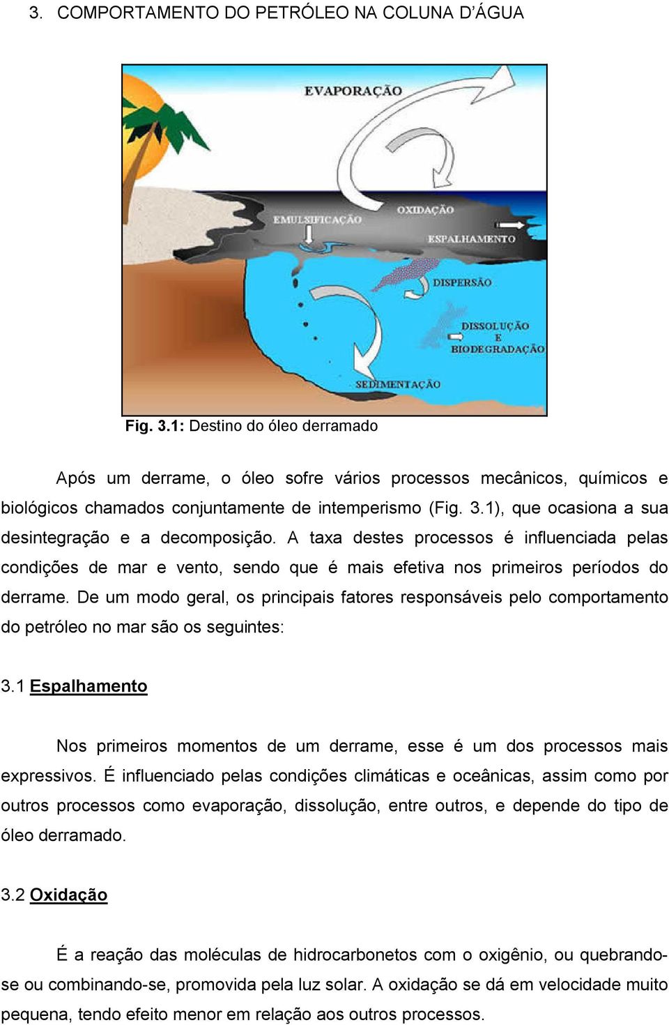 1), que ocasiona a sua desintegração e a decomposição. A taxa destes processos é influenciada pelas condições de mar e vento, sendo que é mais efetiva nos primeiros períodos do derrame.