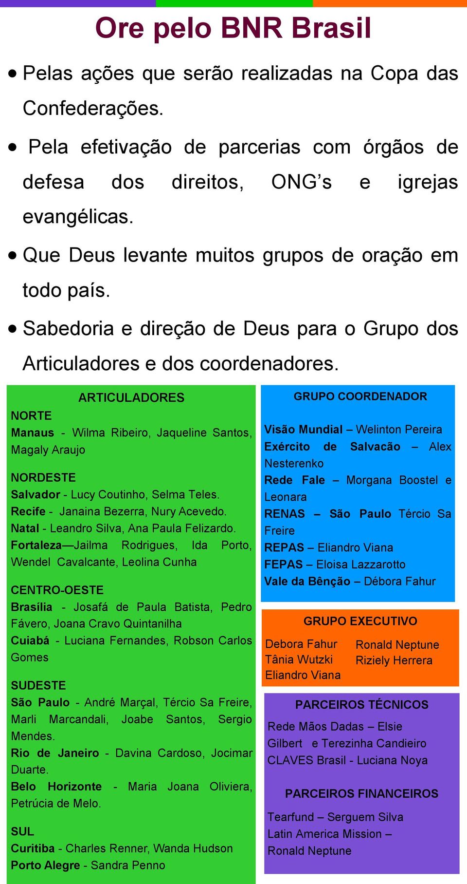 ARTICULADORES NORTE Manaus - Wilma Ribeiro, Jaqueline Santos, Magaly Araujo NORDESTE Salvador - Lucy Coutinho, Selma Teles. Recife - Janaina Bezerra, Nury Acevedo.