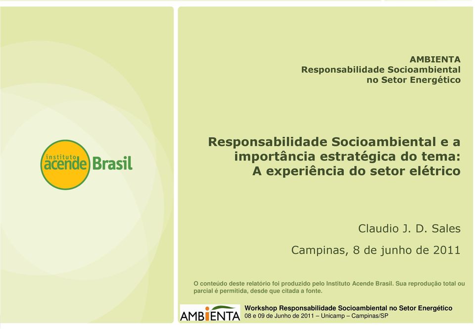 Sales Campinas, 8 de junho de 2011 O conteúdo deste relatório foi produzido pelo Instituto Acende Brasil.