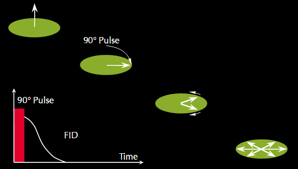 Um experimento simples de RMN (1D) Experimento de pulso simples ou decaimento de Bloch: