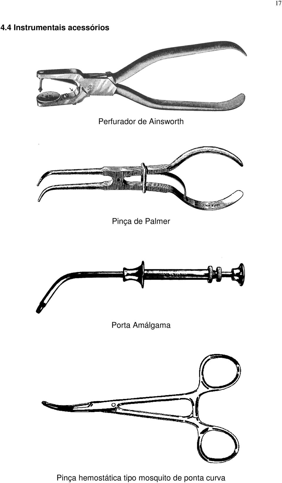 Palmer Porta Amálgama Pinça