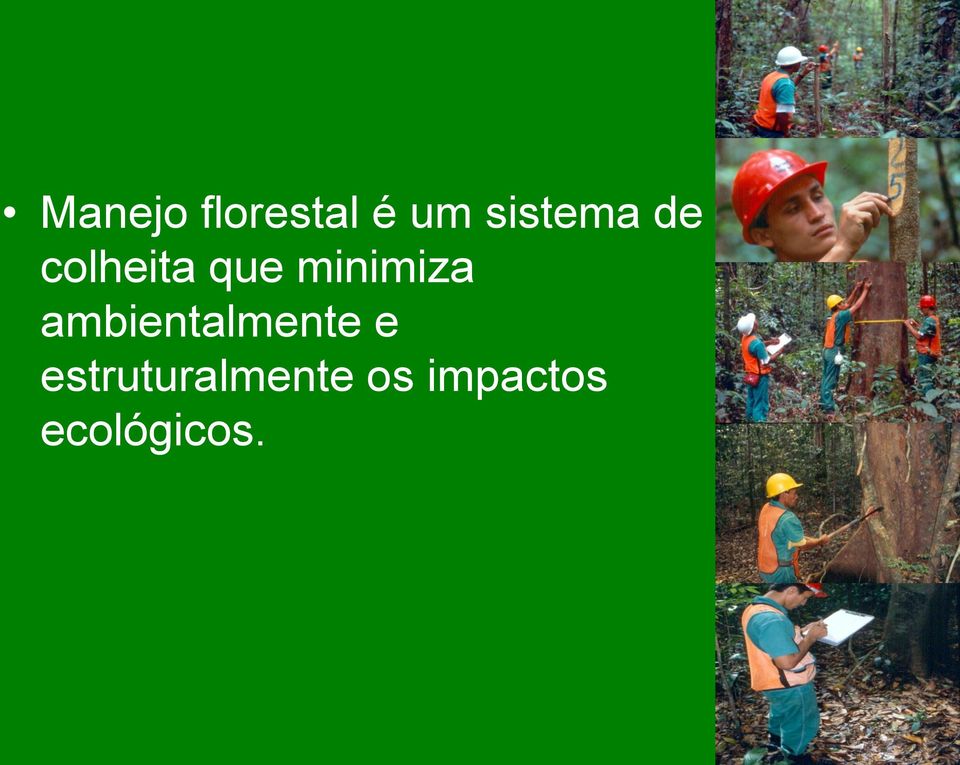 minimiza ambientalmente e