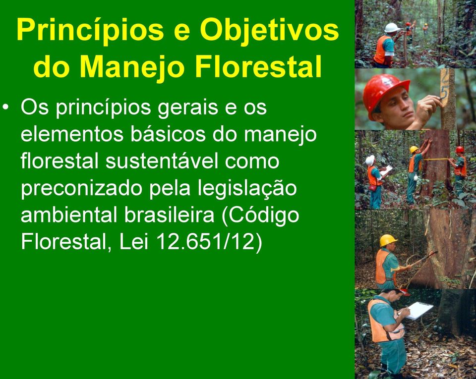 florestal sustentável como preconizado pela